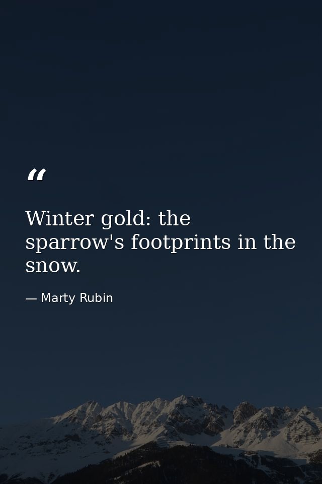 Winter gold: the sparrow's footprints in the snow. — Marty Rubin