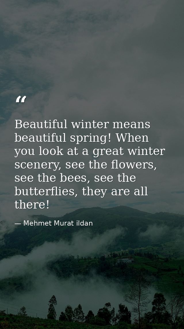 Beautiful winter means beautiful spring! When you look at a great winter scenery, see the flowers, see the bees, see the — Mehmet Murat ildan