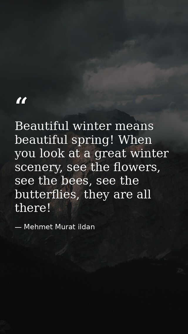 Beautiful winter means beautiful spring! When you look at a great winter scenery, see the flowers, see the bees, see the — Mehmet Murat ildan