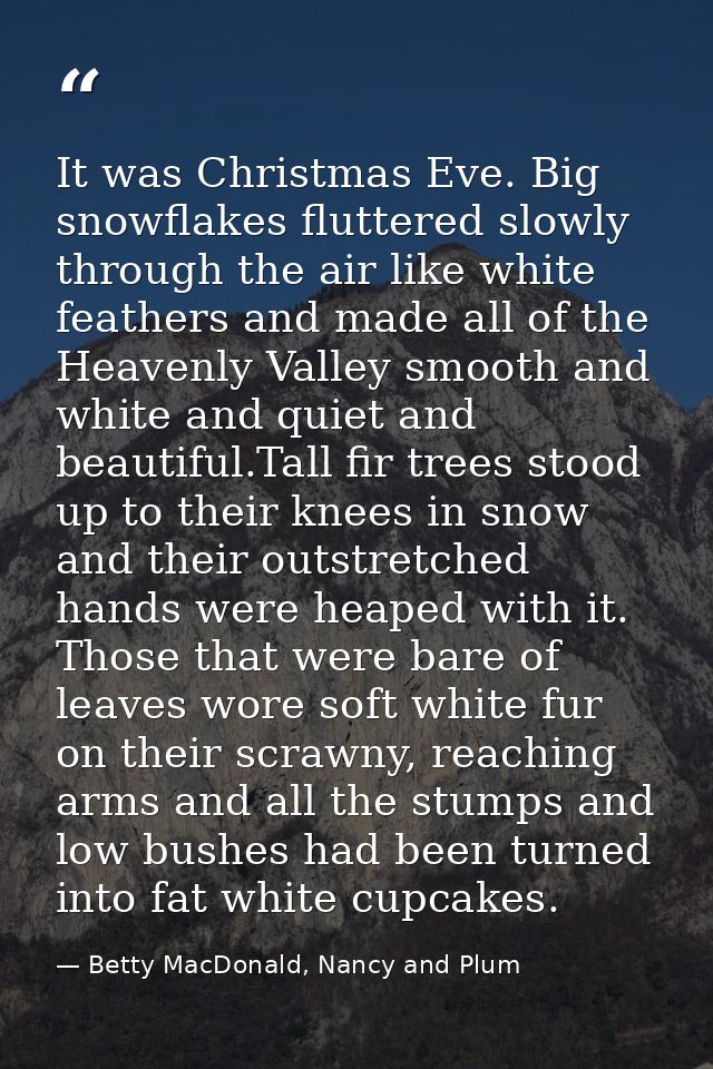 It was Christmas Eve. Big snowflakes fluttered slowly through the air like white feathers and made all of the Heavenly V — Betty MacDonald, Nancy and Plum