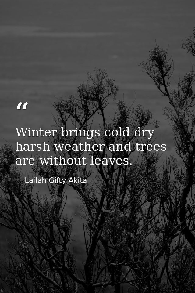 Winter brings cold dry harsh weather and trees are without leaves. — Lailah Gifty Akita