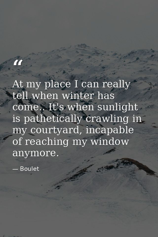 At my place I can really tell when winter has come.. It's when sunlight is pathetically crawling in my courtyard, incapa — Boulet