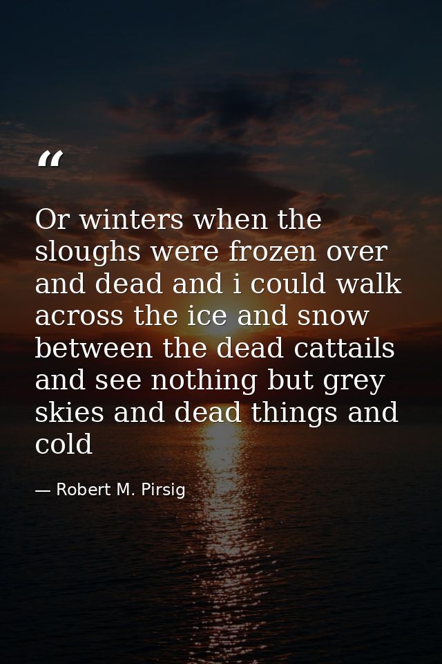 Or winters when the sloughs were frozen over and dead and i could walk across the ice and snow between the dead cattails — Robert M. Pirsig