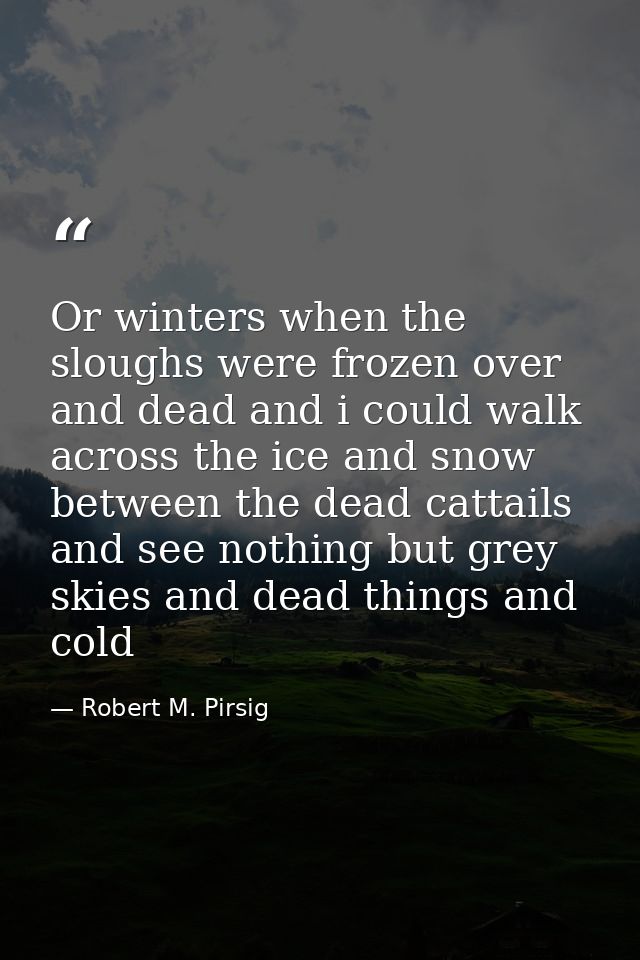 Or winters when the sloughs were frozen over and dead and i could walk across the ice and snow between the dead cattails — Robert M. Pirsig