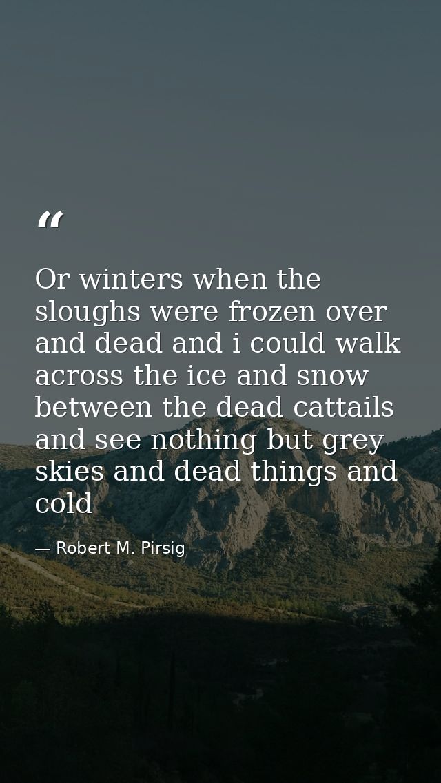 Or winters when the sloughs were frozen over and dead and i could walk across the ice and snow between the dead cattails — Robert M. Pirsig
