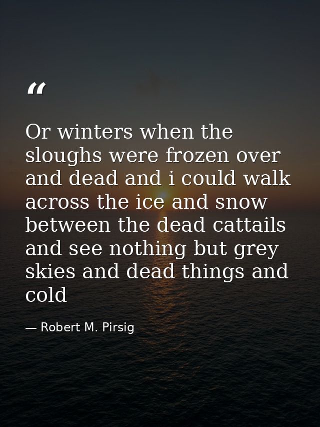Or winters when the sloughs were frozen over and dead and i could walk across the ice and snow between the dead cattails — Robert M. Pirsig