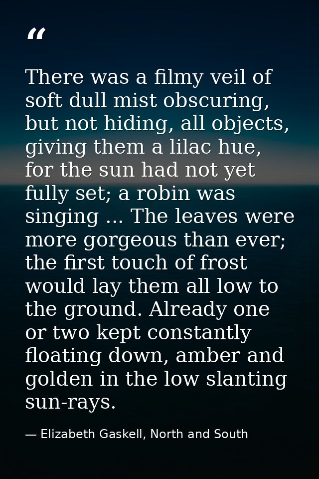 There was a filmy veil of soft dull mist obscuring, but not hiding, all objects, giving them a lilac hue, for the sun ha — Elizabeth Gaskell, North and South