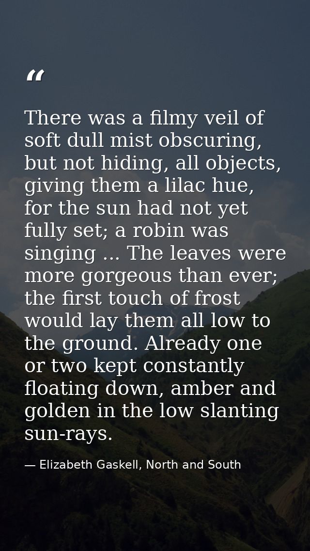 There was a filmy veil of soft dull mist obscuring, but not hiding, all objects, giving them a lilac hue, for the sun ha — Elizabeth Gaskell, North and South