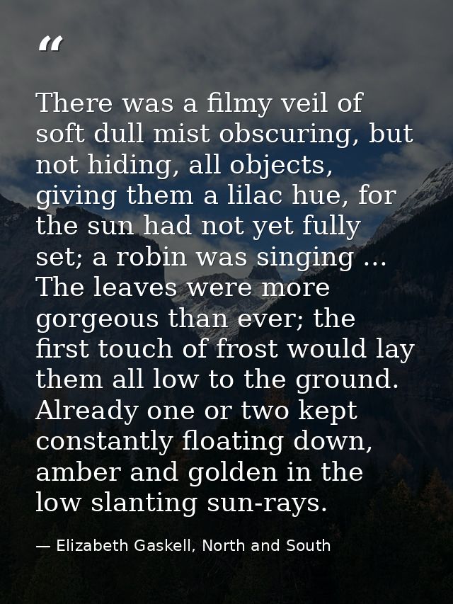 There was a filmy veil of soft dull mist obscuring, but not hiding, all objects, giving them a lilac hue, for the sun ha — Elizabeth Gaskell, North and South