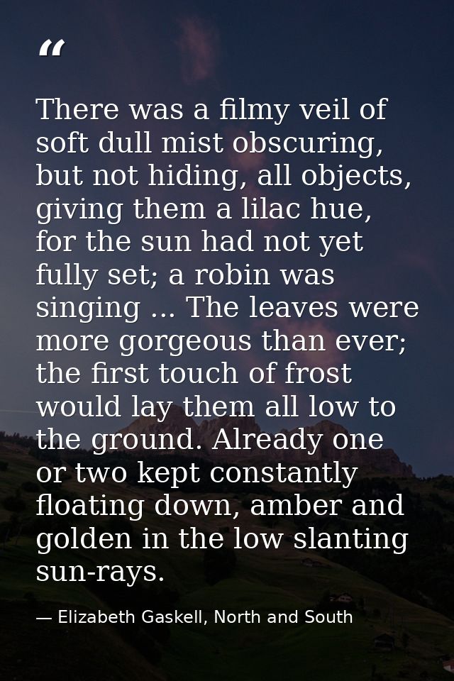 There was a filmy veil of soft dull mist obscuring, but not hiding, all objects, giving them a lilac hue, for the sun ha — Elizabeth Gaskell, North and South