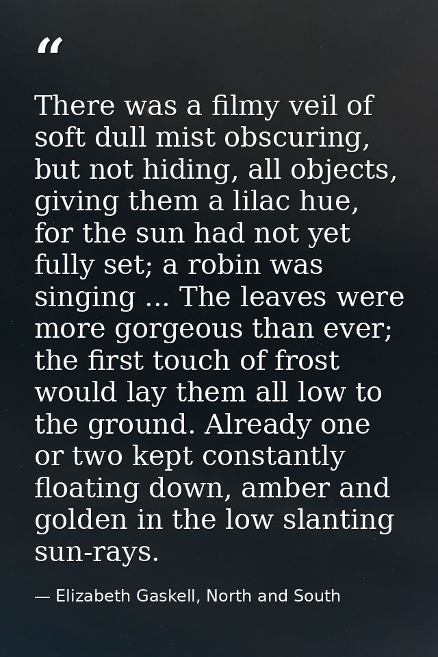 There was a filmy veil of soft dull mist obscuring, but not hiding, all objects, giving them a lilac hue, for the sun ha — Elizabeth Gaskell, North and South