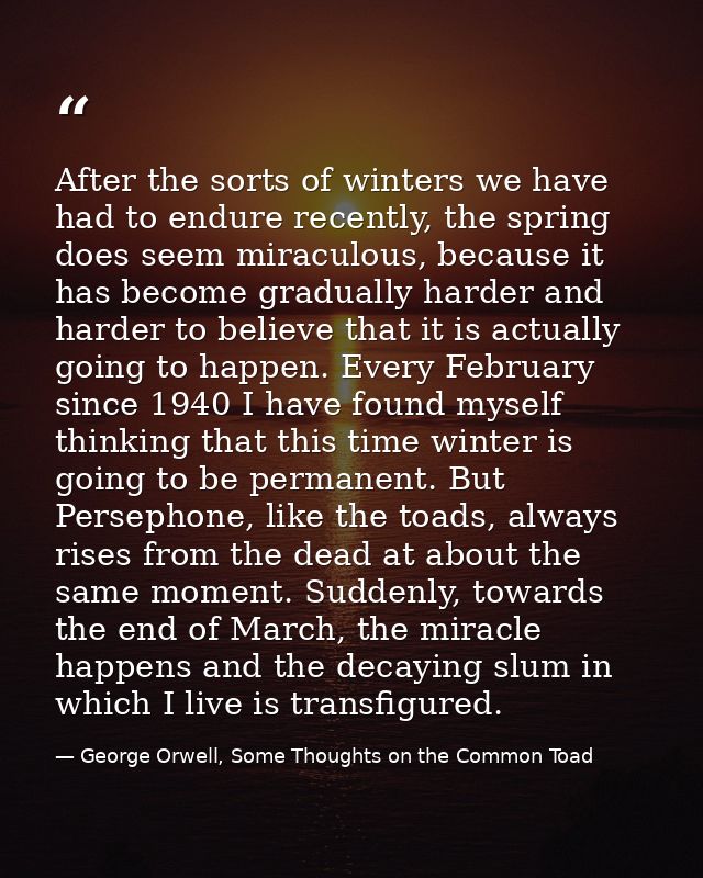 After the sorts of winters we have had to endure recently, the spring does seem miraculous, because it has become gradua — George Orwell, Some Thoughts on the Common Toad