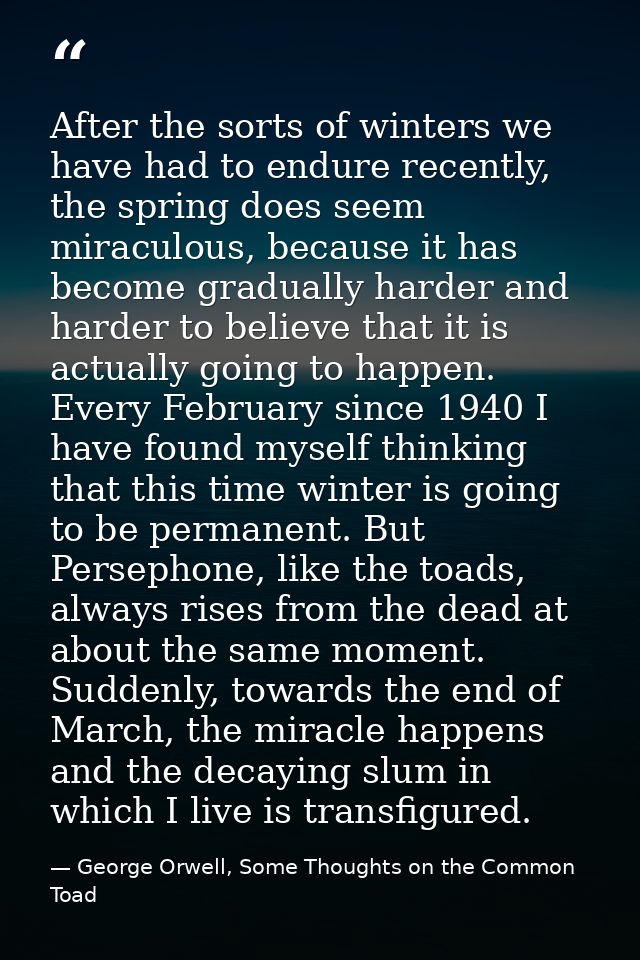 After the sorts of winters we have had to endure recently, the spring does seem miraculous, because it has become gradua — George Orwell, Some Thoughts on the Common Toad