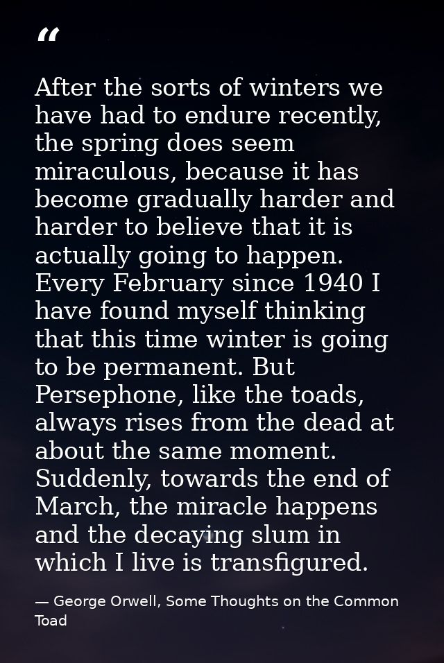 After the sorts of winters we have had to endure recently, the spring does seem miraculous, because it has become gradua — George Orwell, Some Thoughts on the Common Toad