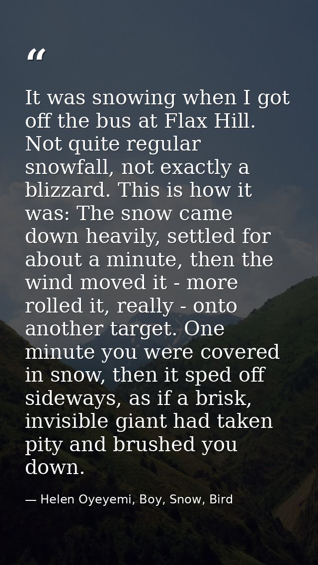 It was snowing when I got off the bus at Flax Hill. Not quite regular snowfall, not exactly a blizzard. This is how it w — Helen Oyeyemi, Boy, Snow, Bird