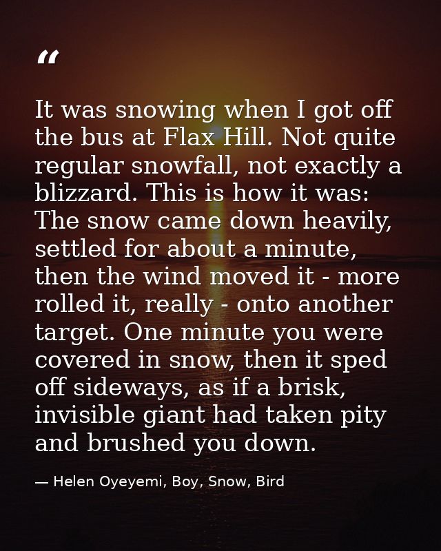 It was snowing when I got off the bus at Flax Hill. Not quite regular snowfall, not exactly a blizzard. This is how it w — Helen Oyeyemi, Boy, Snow, Bird