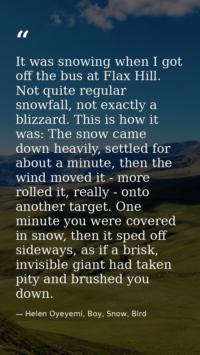 It was snowing when I got off the bus at Flax Hill. Not quite regular snowfall, not exactly a blizzard. This is how it w — Helen Oyeyemi, Boy, Snow, Bird