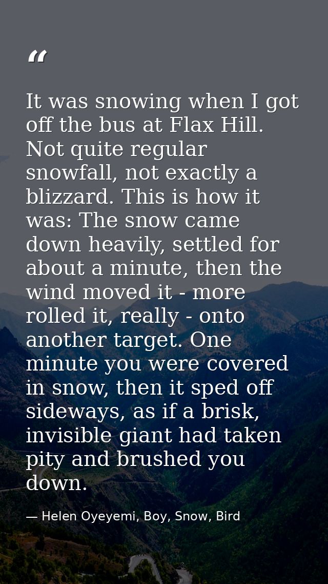 It was snowing when I got off the bus at Flax Hill. Not quite regular snowfall, not exactly a blizzard. This is how it w — Helen Oyeyemi, Boy, Snow, Bird