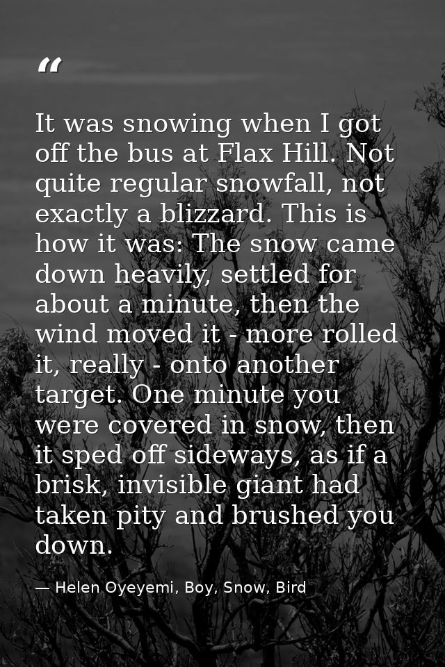 It was snowing when I got off the bus at Flax Hill. Not quite regular snowfall, not exactly a blizzard. This is how it w — Helen Oyeyemi, Boy, Snow, Bird