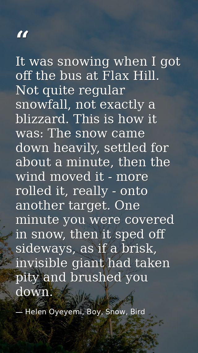 It was snowing when I got off the bus at Flax Hill. Not quite regular snowfall, not exactly a blizzard. This is how it w — Helen Oyeyemi, Boy, Snow, Bird