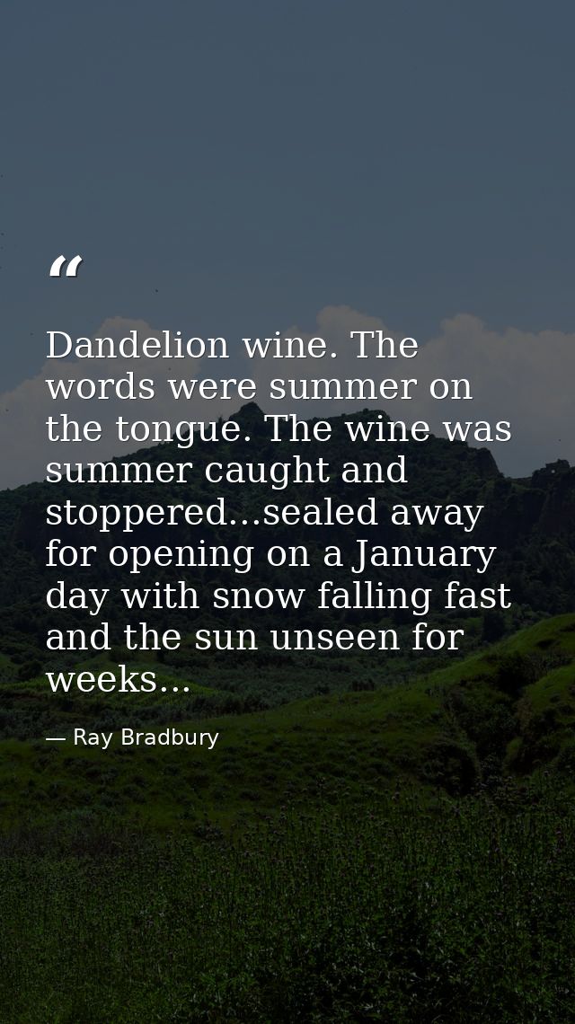 Dandelion wine. The words were summer on the tongue. The wine was summer caught and stoppered...sealed away for opening  — Ray Bradbury