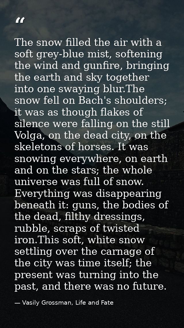The snow filled the air with a soft grey-blue mist, softening the wind and gunfire, bringing the earth and sky together  — Vasily Grossman, Life and Fate
