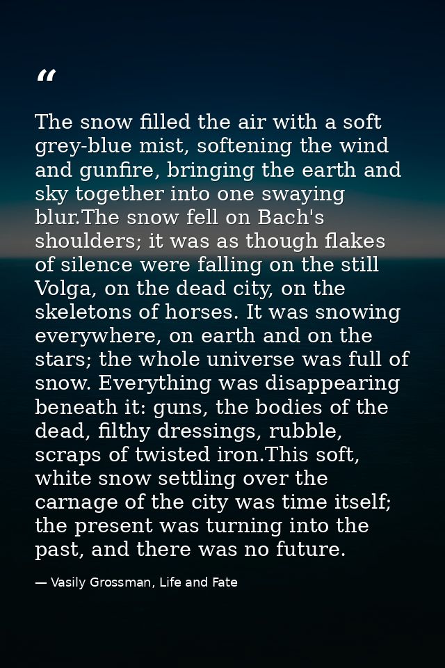 The snow filled the air with a soft grey-blue mist, softening the wind and gunfire, bringing the earth and sky together  — Vasily Grossman, Life and Fate