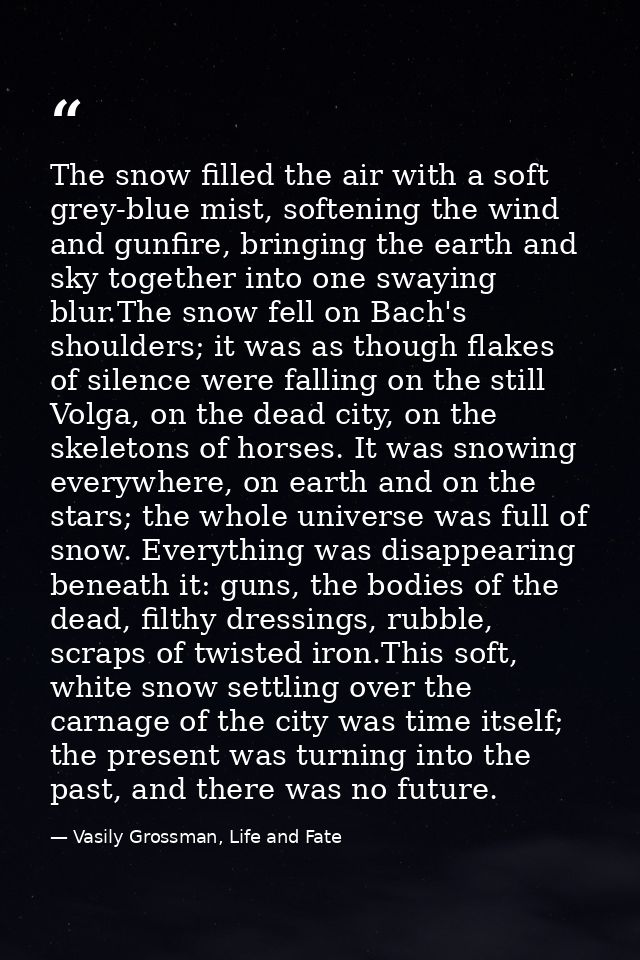 The snow filled the air with a soft grey-blue mist, softening the wind and gunfire, bringing the earth and sky together  — Vasily Grossman, Life and Fate