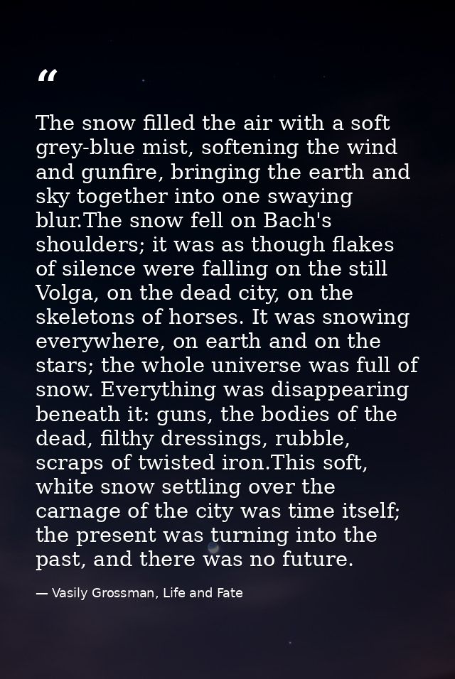 The snow filled the air with a soft grey-blue mist, softening the wind and gunfire, bringing the earth and sky together  — Vasily Grossman, Life and Fate