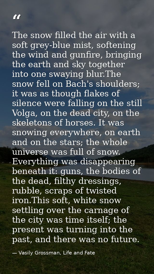 The snow filled the air with a soft grey-blue mist, softening the wind and gunfire, bringing the earth and sky together  — Vasily Grossman, Life and Fate