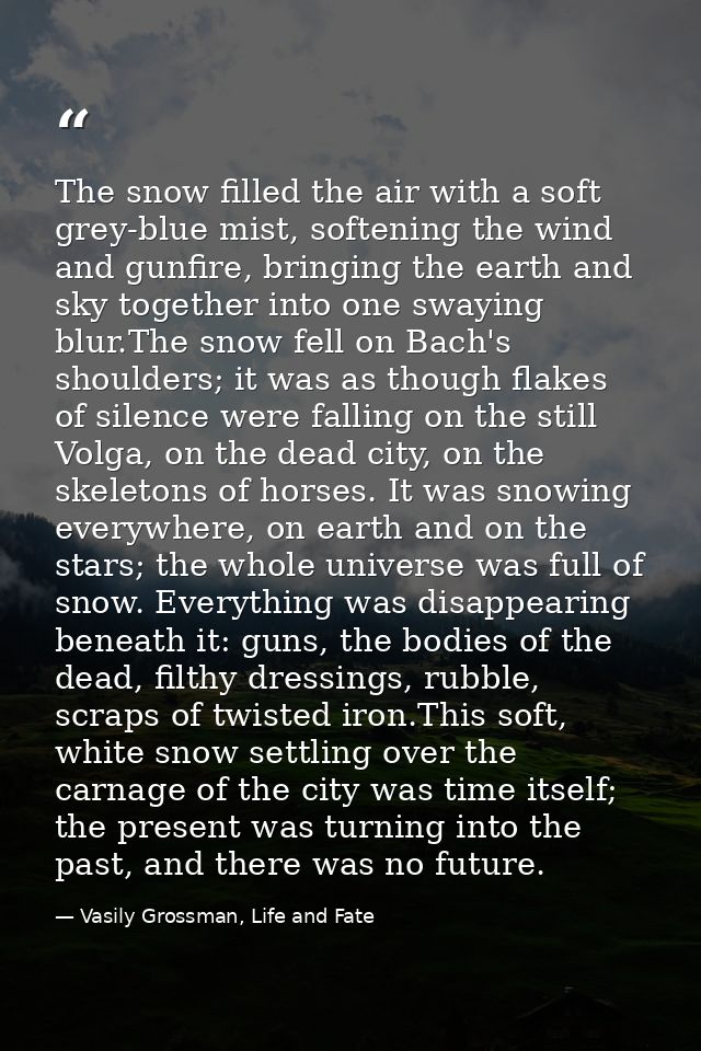 The snow filled the air with a soft grey-blue mist, softening the wind and gunfire, bringing the earth and sky together  — Vasily Grossman, Life and Fate