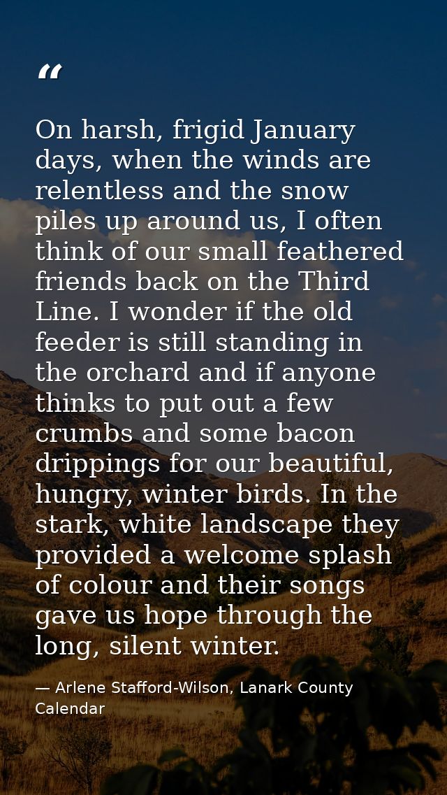 On harsh, frigid January days, when the winds are relentless and the snow piles up around us, I often think of our small — Arlene Stafford-Wilson, Lanark County Calendar