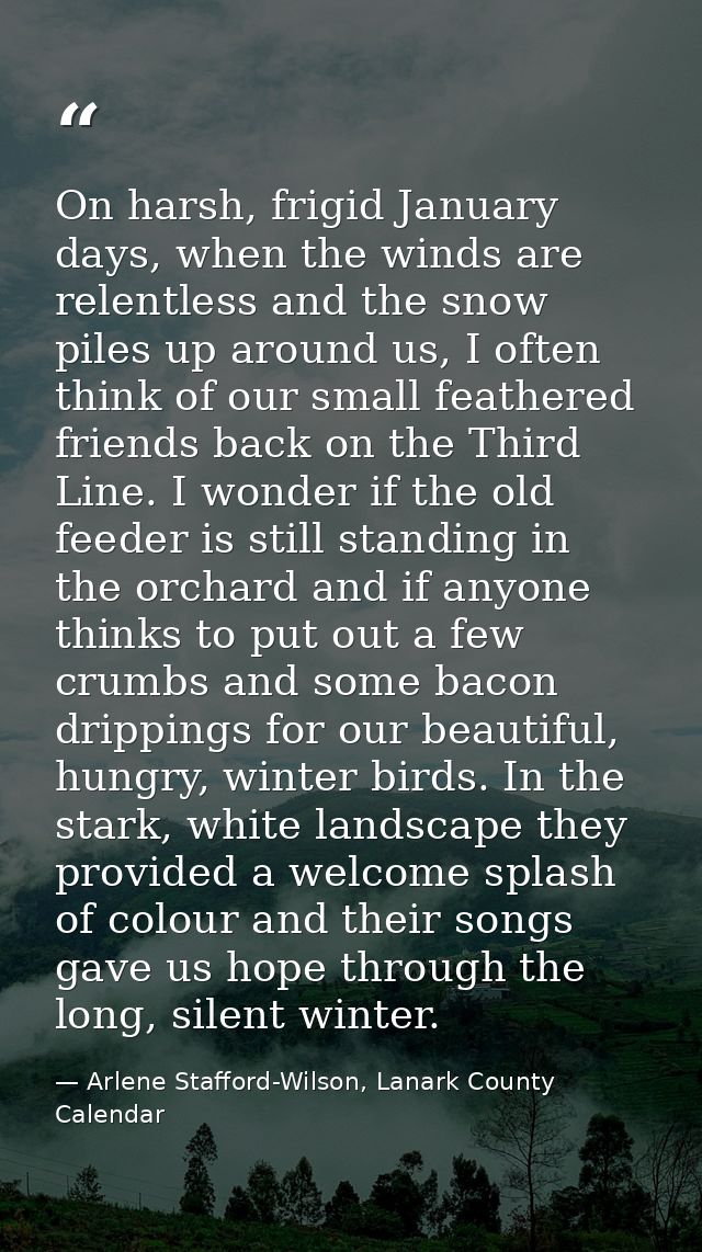 On harsh, frigid January days, when the winds are relentless and the snow piles up around us, I often think of our small — Arlene Stafford-Wilson, Lanark County Calendar