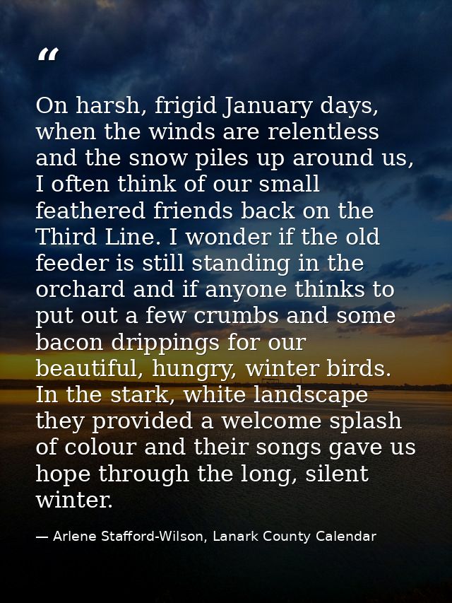 On harsh, frigid January days, when the winds are relentless and the snow piles up around us, I often think of our small — Arlene Stafford-Wilson, Lanark County Calendar