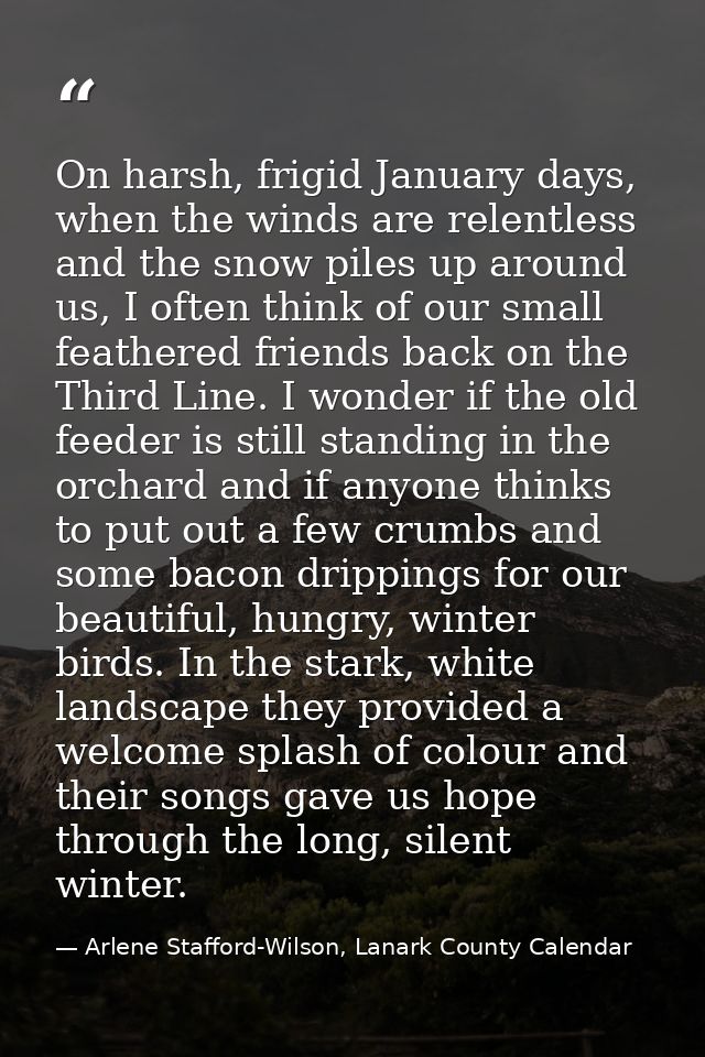 On harsh, frigid January days, when the winds are relentless and the snow piles up around us, I often think of our small — Arlene Stafford-Wilson, Lanark County Calendar