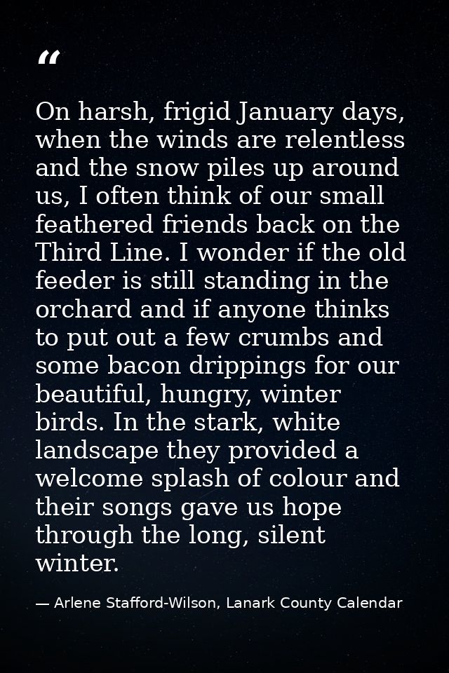 On harsh, frigid January days, when the winds are relentless and the snow piles up around us, I often think of our small — Arlene Stafford-Wilson, Lanark County Calendar