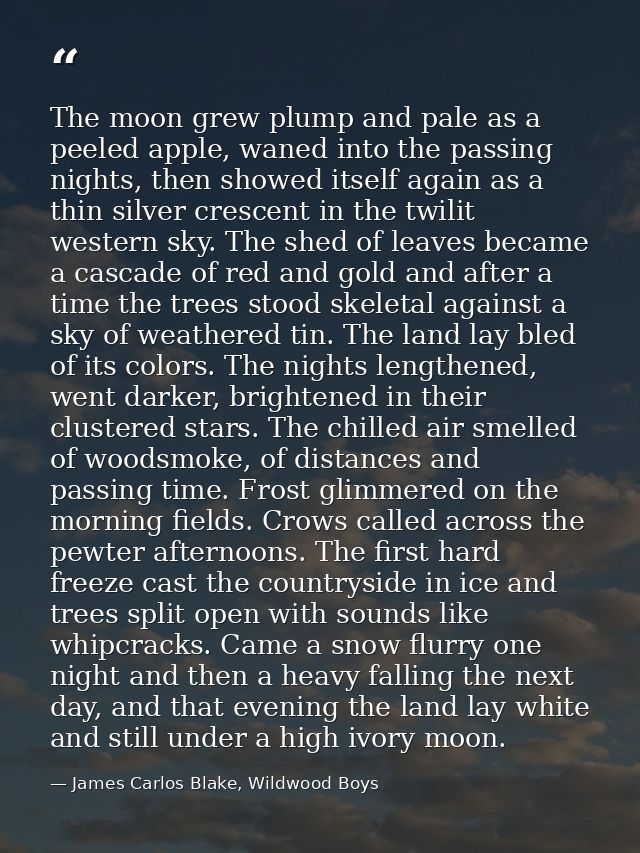 The moon grew plump and pale as a peeled apple, waned into the passing nights, then showed itself again as a thin silver — James Carlos Blake, Wildwood Boys