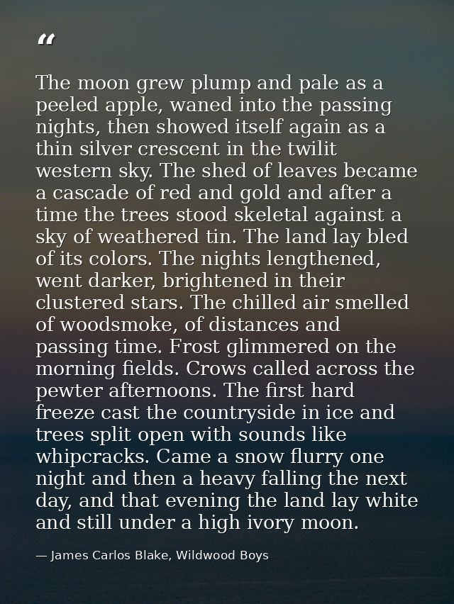The moon grew plump and pale as a peeled apple, waned into the passing nights, then showed itself again as a thin silver — James Carlos Blake, Wildwood Boys