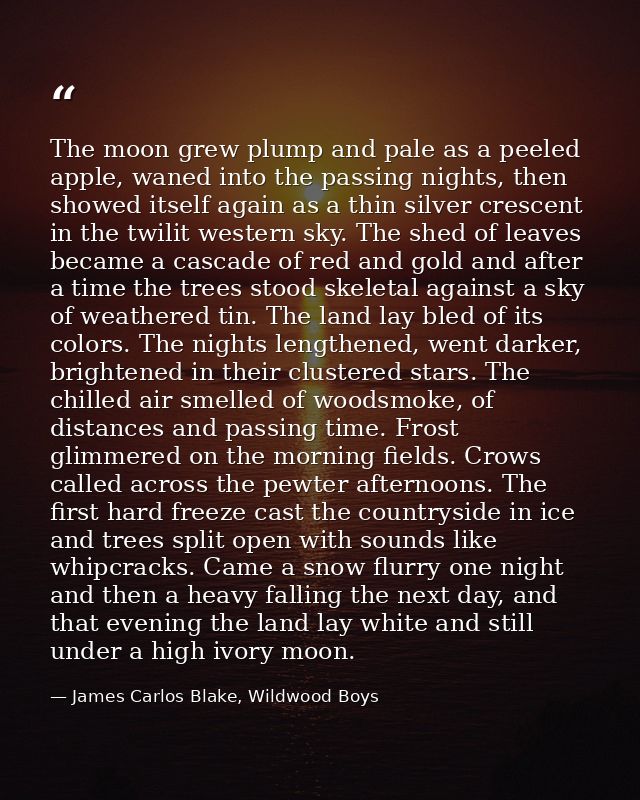 The moon grew plump and pale as a peeled apple, waned into the passing nights, then showed itself again as a thin silver — James Carlos Blake, Wildwood Boys