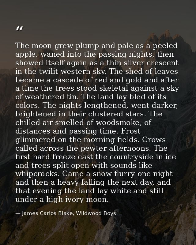 The moon grew plump and pale as a peeled apple, waned into the passing nights, then showed itself again as a thin silver — James Carlos Blake, Wildwood Boys