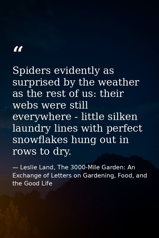 Spiders evidently as surprised by the weather as the rest of us: their webs were still everywhere - little silken laundr — Leslie Land, The 3000-Mile Garden: An Exchange of Letters on Gardening, Food, and the Good Life