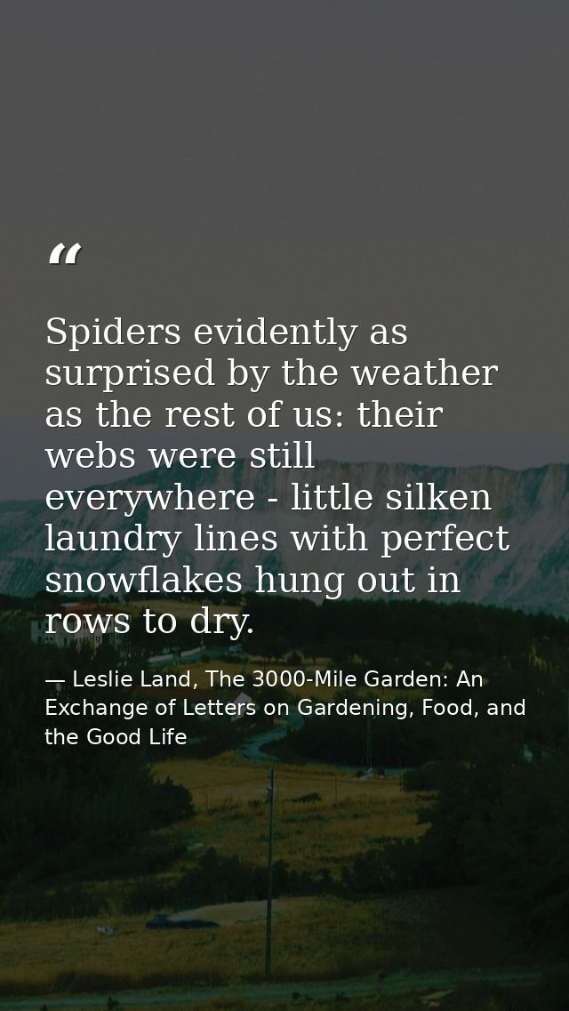 Spiders evidently as surprised by the weather as the rest of us: their webs were still everywhere - little silken laundr — Leslie Land, The 3000-Mile Garden: An Exchange of Letters on Gardening, Food, and the Good Life