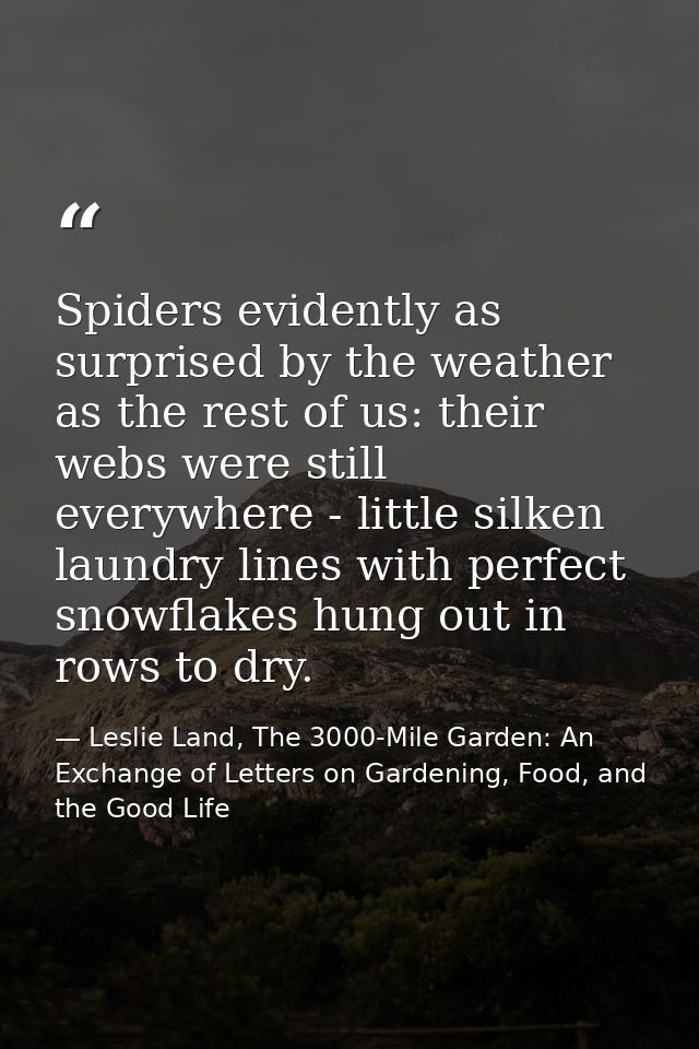 Spiders evidently as surprised by the weather as the rest of us: their webs were still everywhere - little silken laundr — Leslie Land, The 3000-Mile Garden: An Exchange of Letters on Gardening, Food, and the Good Life