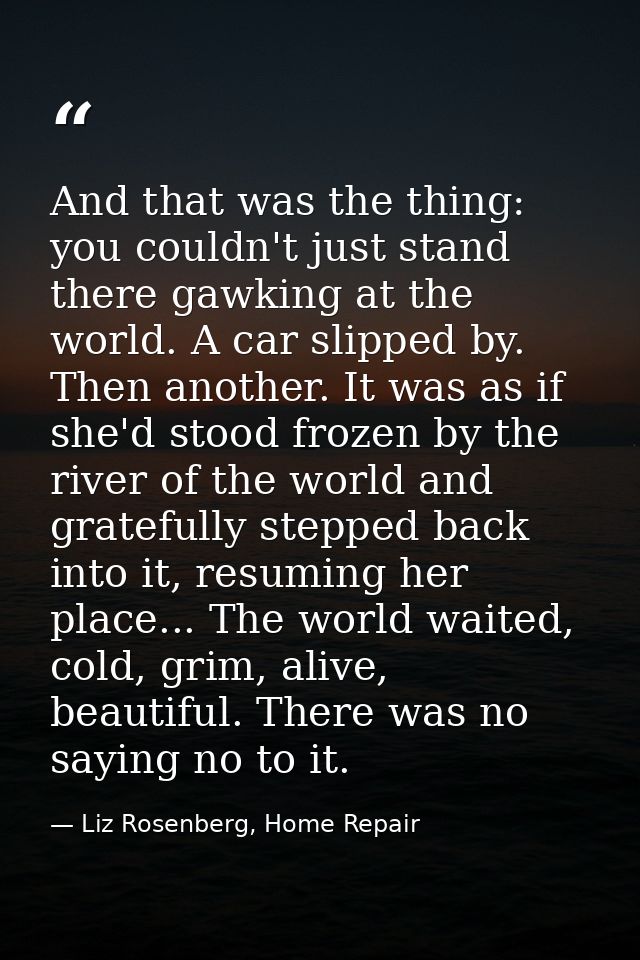 And that was the thing: you couldn't just stand there gawking at the world. A car slipped by. Then another. It was as if — Liz Rosenberg, Home Repair