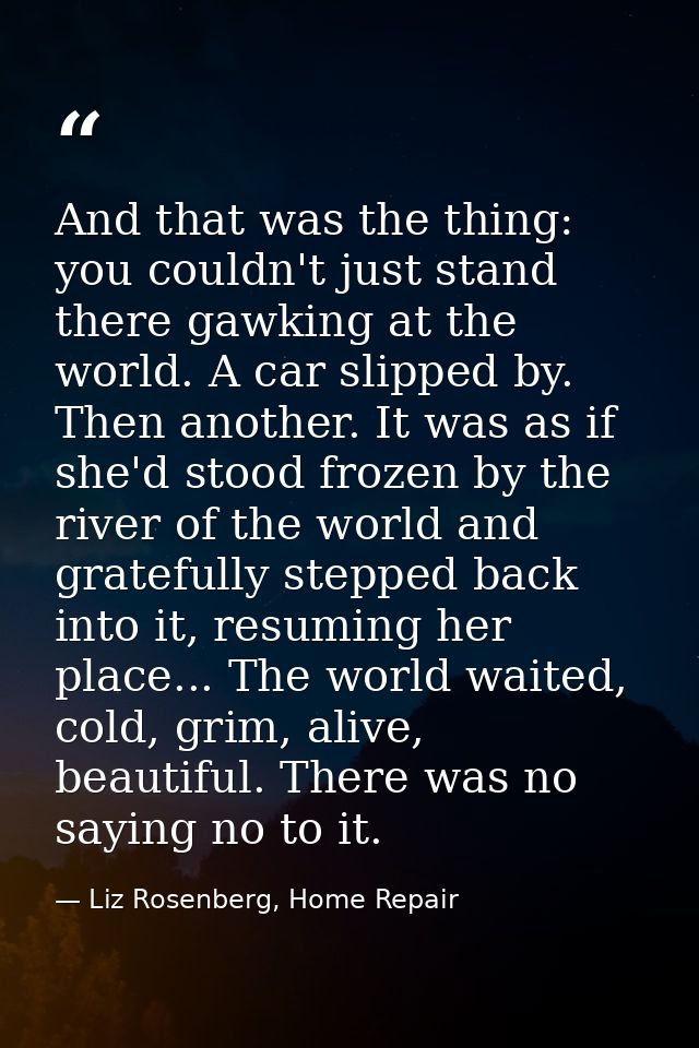 And that was the thing: you couldn't just stand there gawking at the world. A car slipped by. Then another. It was as if — Liz Rosenberg, Home Repair
