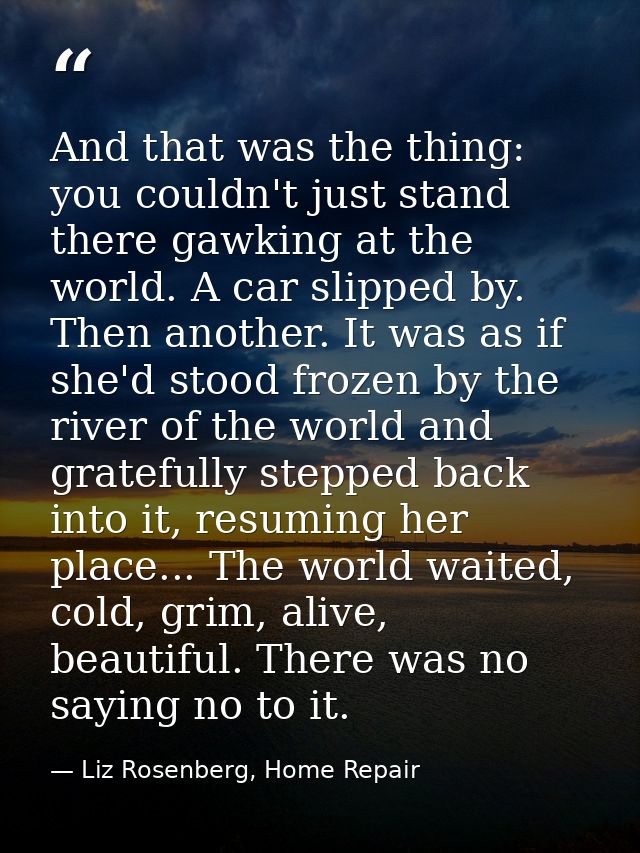 And that was the thing: you couldn't just stand there gawking at the world. A car slipped by. Then another. It was as if — Liz Rosenberg, Home Repair