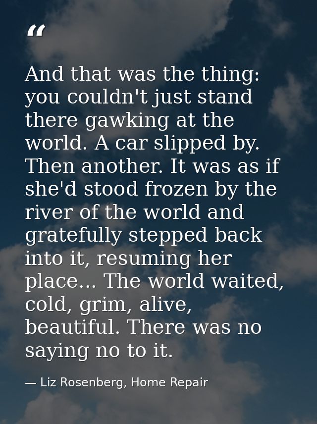 And that was the thing: you couldn't just stand there gawking at the world. A car slipped by. Then another. It was as if — Liz Rosenberg, Home Repair