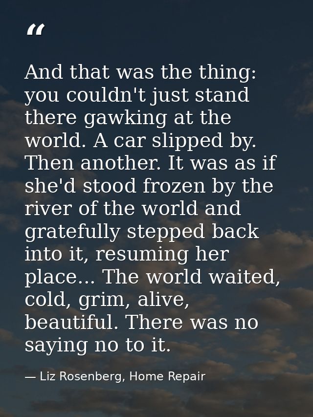 And that was the thing: you couldn't just stand there gawking at the world. A car slipped by. Then another. It was as if — Liz Rosenberg, Home Repair