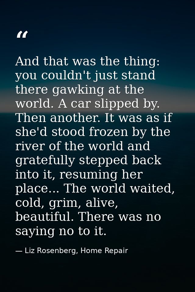 And that was the thing: you couldn't just stand there gawking at the world. A car slipped by. Then another. It was as if — Liz Rosenberg, Home Repair