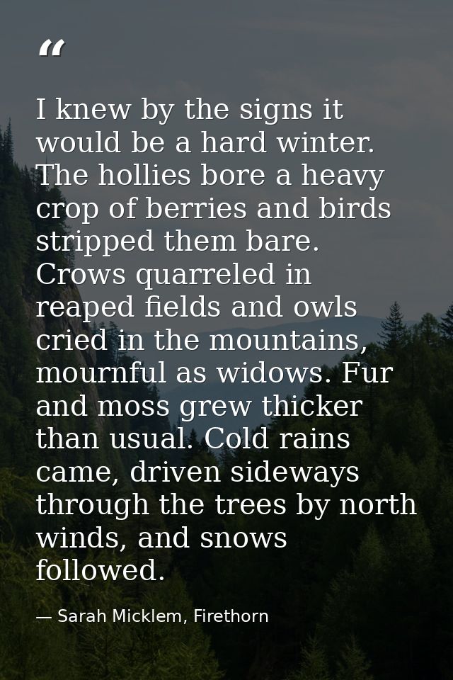 I knew by the signs it would be a hard winter. The hollies bore a heavy crop of berries and birds stripped them bare. Cr — Sarah Micklem, Firethorn